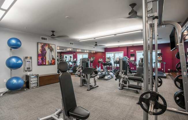 Fitness Center at Palms at Magnolia Park in Riverview, FL