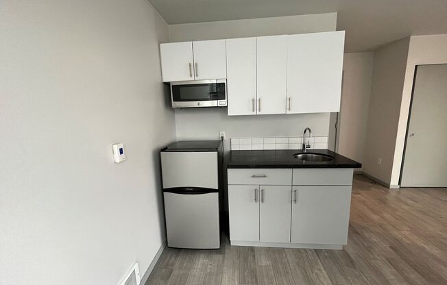 Studio, 1 bath, 181 sqft, $1,025, Unit 301