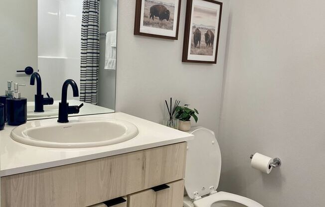 Studio, 1 bath, 365 sqft, $1,015, Unit 221
