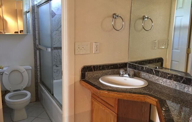 Studio, 1 bath, 250 sqft, $1,195, Unit 208