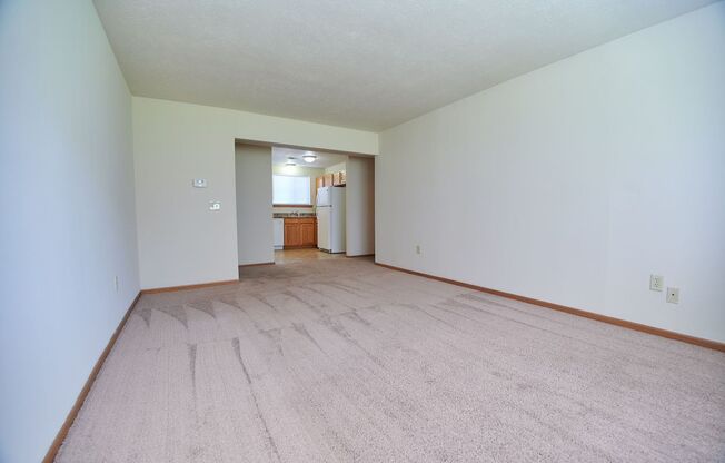 2 beds, 1 bath, 925 sqft, $1,025, Unit 1007