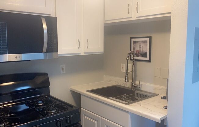 Studio, 1 bath, 550 sqft, $1,300, Unit 510