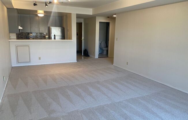 Remodeled 1BR Condo @ Opera Plaza with Amenities, Pool, Gym & Parking!