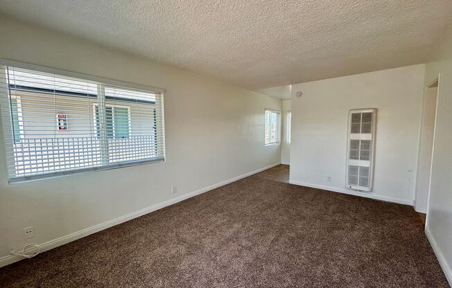 1 Bed, 1 Bath in Central SD! Water/Trash Included