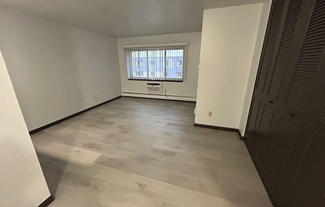 Studio, 1 bath, $875, Unit 320