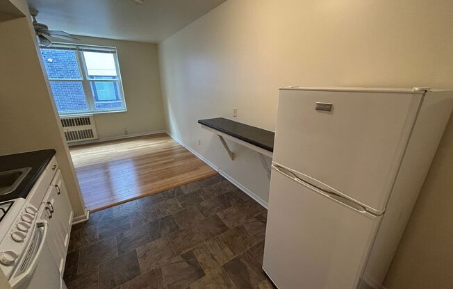 Studio, 1 bath, $825, Unit 207