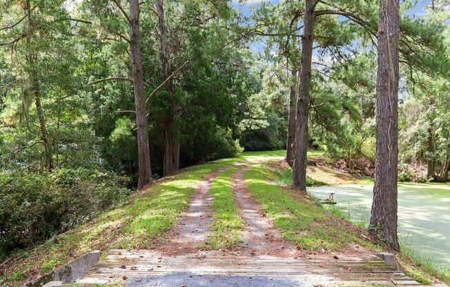 Sprawling Furnished Estate Home on the Ashley River