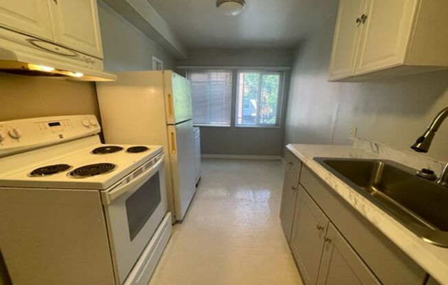 1 bed, 1 bath, 600 sqft, $1,550