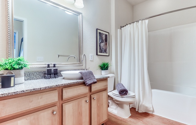 A bathroom with a sink, toilet, and a mirror, Plantation Crossing, Lafayette, LA, 70508
