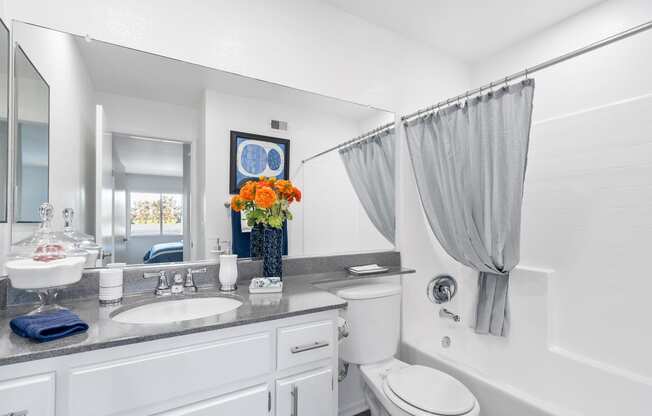 a bathroom with a sink and a toilet and a mirror