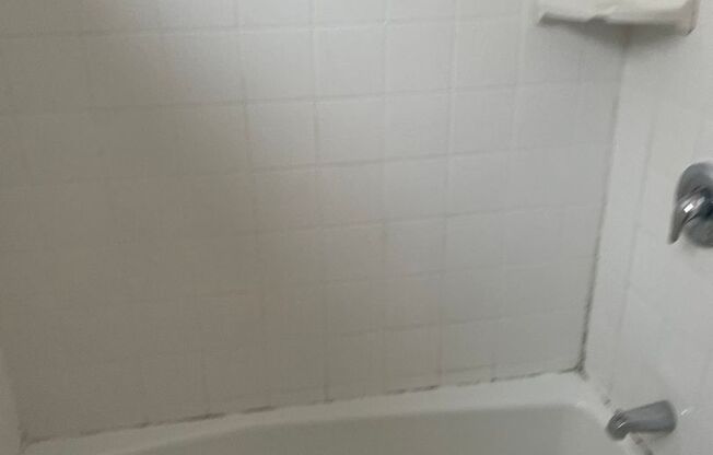 Studio, 1 bath, $1,495