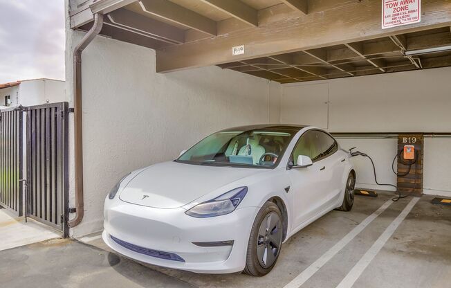 1 bed, 1 bath, 754 sqft, $2,579, Unit 241-R