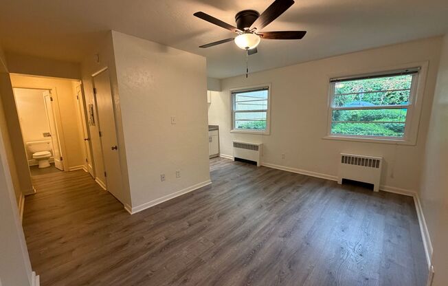 Studio, 1 bath, 374 sqft, $1,150, Unit 102