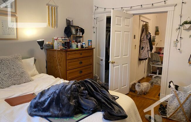 15 Cummings Rd #2 Boston MA 02135