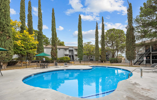 A swimming pool surrounded by tall trees and a fence.