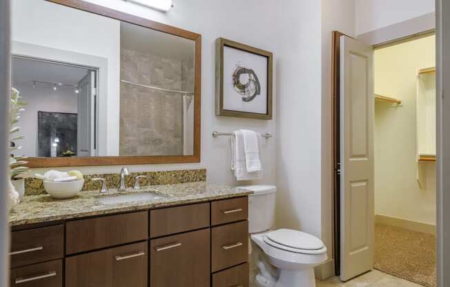 bathroom at Berkshire Medical District apartments