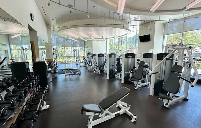 1 bed, 1.5 baths, $2,350, Unit #2505