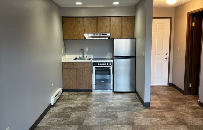 Studio, 1 bath, 440 sqft, $1,065, Unit 207