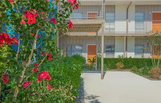 a close up of a flower garden in front of a building
