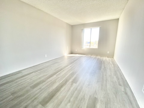 1 bed, 1 bath, $2,395