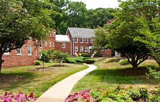 Hillside Terrace