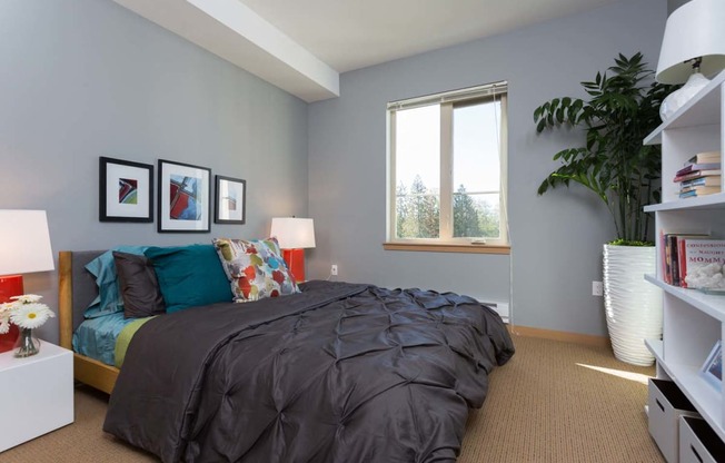 Live In Cozy Bedrooms at Tivalli Apartments, Lynnwood
