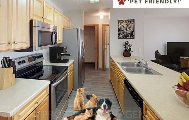 2 beds, 1 bath, 1,049 sqft, $1,049, Unit 7025 W 56th Street #1