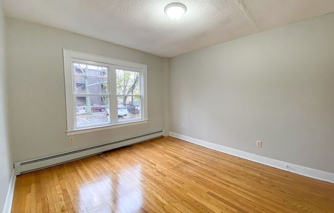 1 bed, 1 bath, $1,230, Unit 3