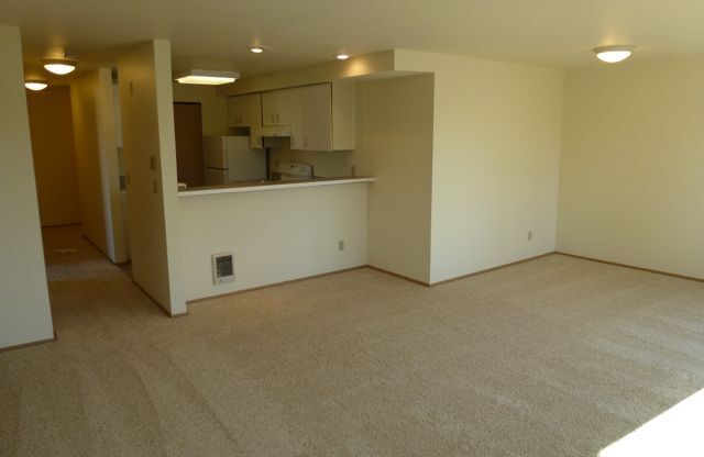02) 4459 Fremont