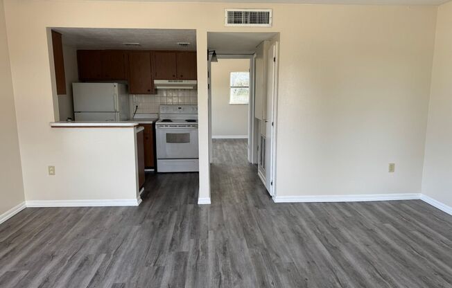 Spacious Remodeled 1BR/1BA  Apartment with Beautiful New LVT Flooring