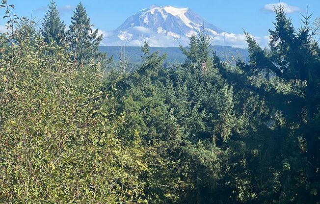 Charming home located in beautiful Orting!