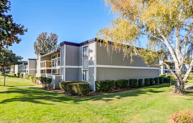 A modern building with a grey exterior and a large tree in front.