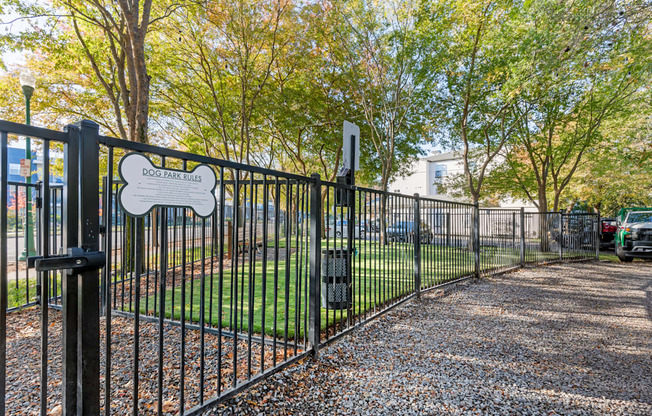 Our newly renovated dog park is now open, featuring fresh turf and plenty of space for your furry friends to play and socialize.
