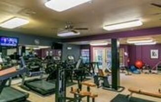 1 bed, 1 bath, 906 sqft, $1,479, Unit 150