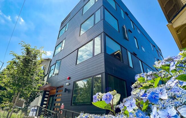 Studio, 1 bath, 285 sqft, $1,425, Unit 304