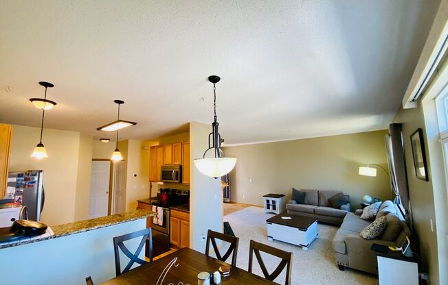 Plymouth 3Br 3 bath Townhome with Wetland views!