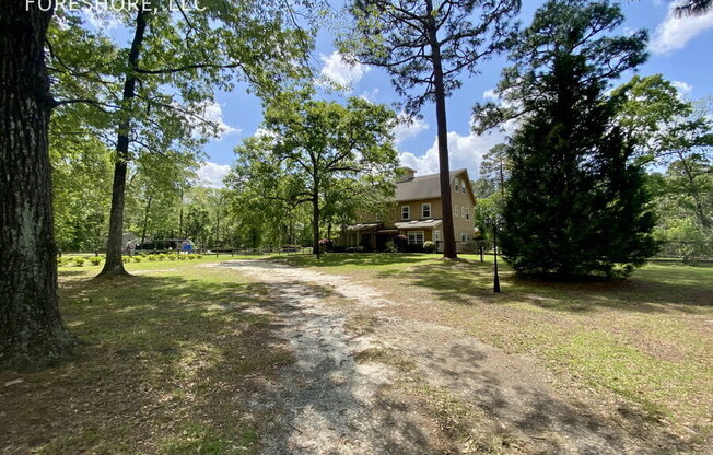 227 PALMETTO BLF RD