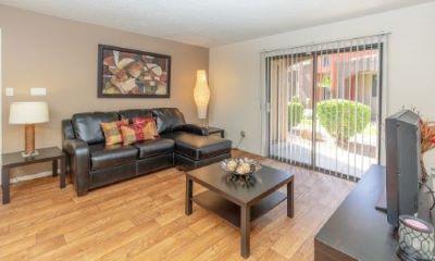 Living Room With Oversized Windows at Glen Oaks Apartments, Arizona, 85301