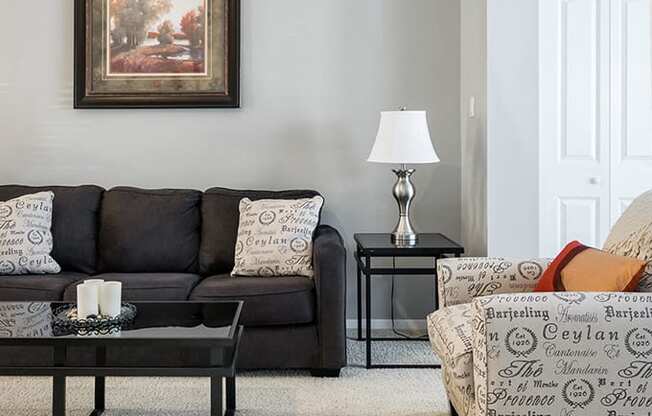 Carpeted Living Room with Light Grey Walls