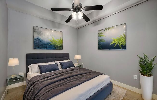 1 bed, 1 bath, 595 sqft, $895, Unit Urban Studios: 5300-#37