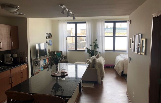 Studio, 1 bath, 541 sqft, $1,325, Unit 301