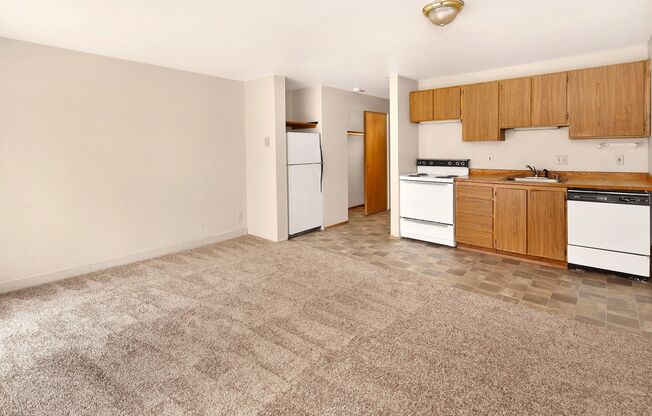 1 bed, 1 bath, 437 sqft, $1,195, Unit 10