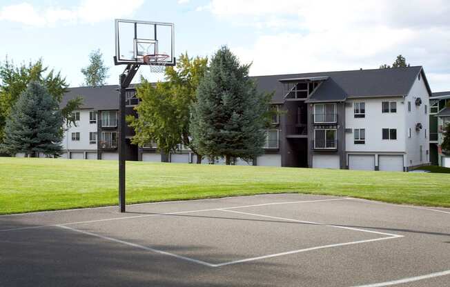 Whimsical Pig Apartments Basketball Court