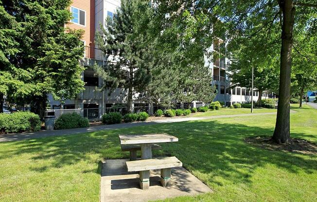 picnic tables, plenty of green spaces