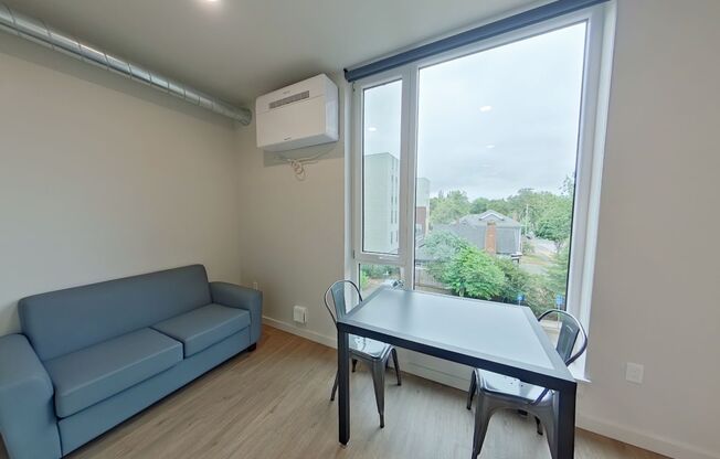 Studio, 1 bath, 314 sqft, $1,250, Unit 313