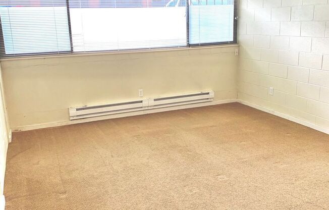 Studio, 1 bath, 302 sqft, $1,100, Unit 104