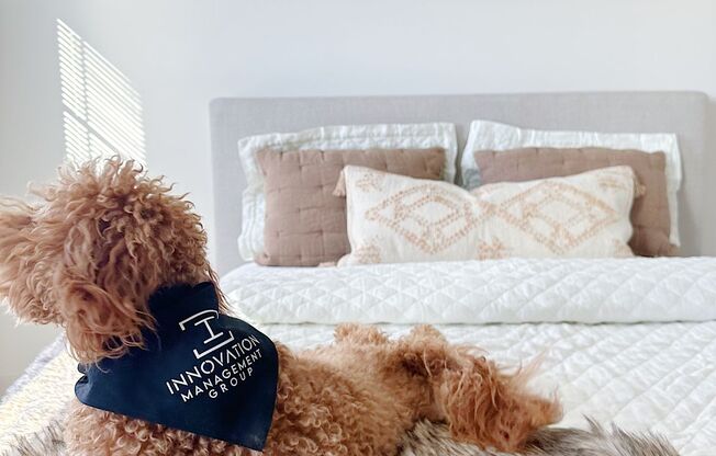 Partner-provided property photo