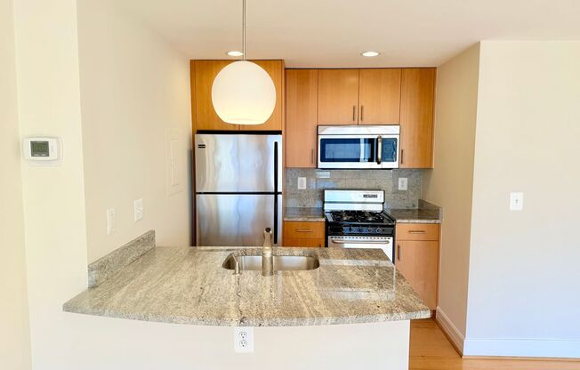 Studio, 1 bath, 460 sqft, $2,400, Unit 0310