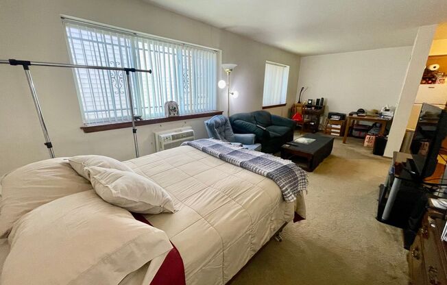 Studio, 1 bath, $895, Unit 102