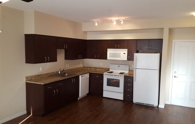 1 bed, 1 bath, 551 sqft, $1,410, Unit 2-113